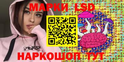 мяу мяу мука Малгобек