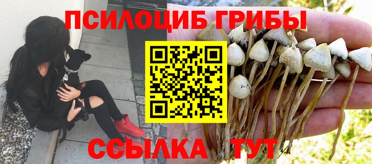 Псилоцибиновые грибы мухоморы Якутск