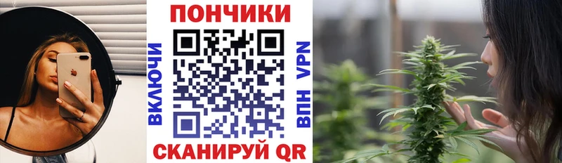 Бошки Шишки марихуана  Якутск 